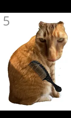 ��è��ë2026���ذ�װv1.0 ��Ѱ��ͼ2