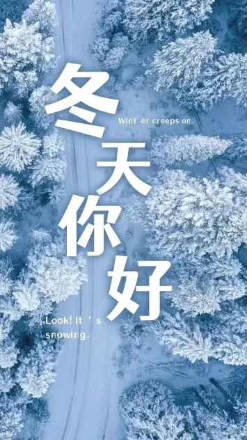 �����鱦��׿���ֻ���