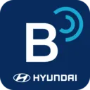 Bluelink(������������)