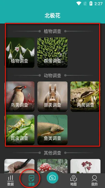 北极花生物调查2026官方最新版本 北极花生物调查2026官方最新版本