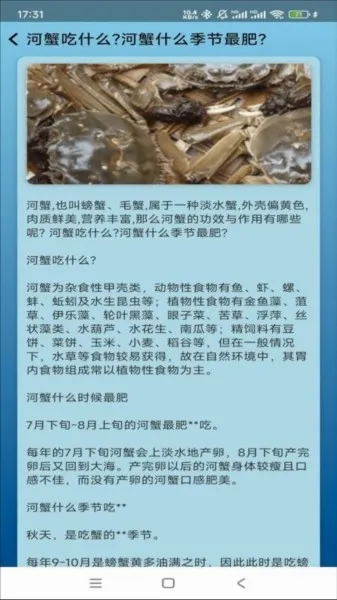 �����ֳ�����ֻ���