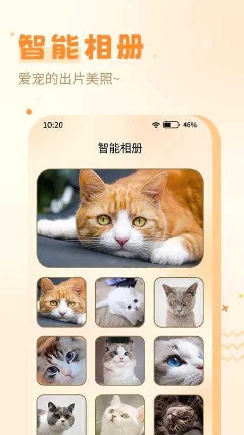 喵人猫语(猫咪语言互动工具) 喵人猫语(猫咪语言互动工具)