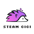 SteamCICI2026�ٷ����°汾