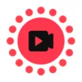 intolive��̬��ֽ������2026�ٷ����°汾
