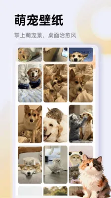 ����è��app(è��һվʽƽ̨)v1.3 ��Ѱ��ͼ3