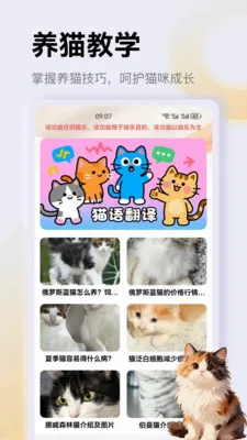 ����è��app(è��һվʽƽ̨)v1.3 ��Ѱ��ͼ2